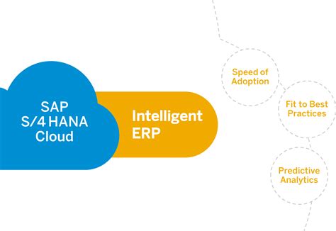 SAP Cloud ERP